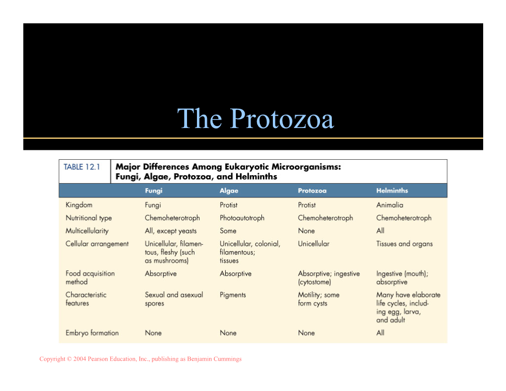 The Protozoa