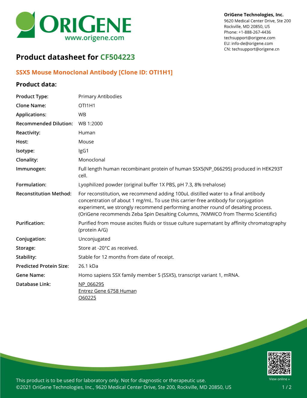 SSX5 Mouse Monoclonal Antibody [Clone ID: OTI1H1] Product Data