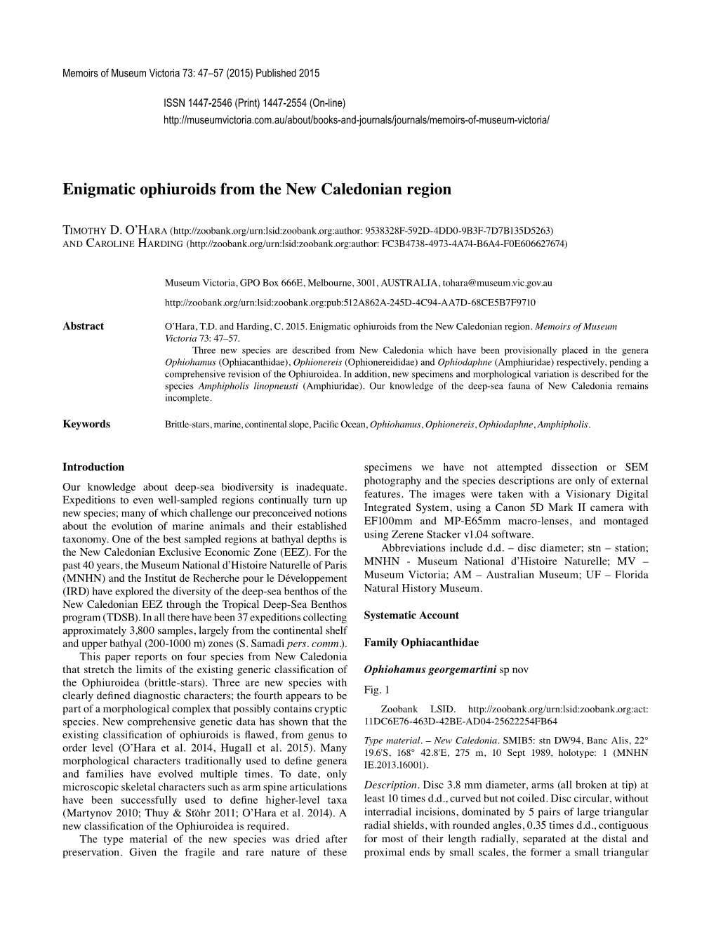 Enigmatic Ophiuroids from the New Caledonian Region