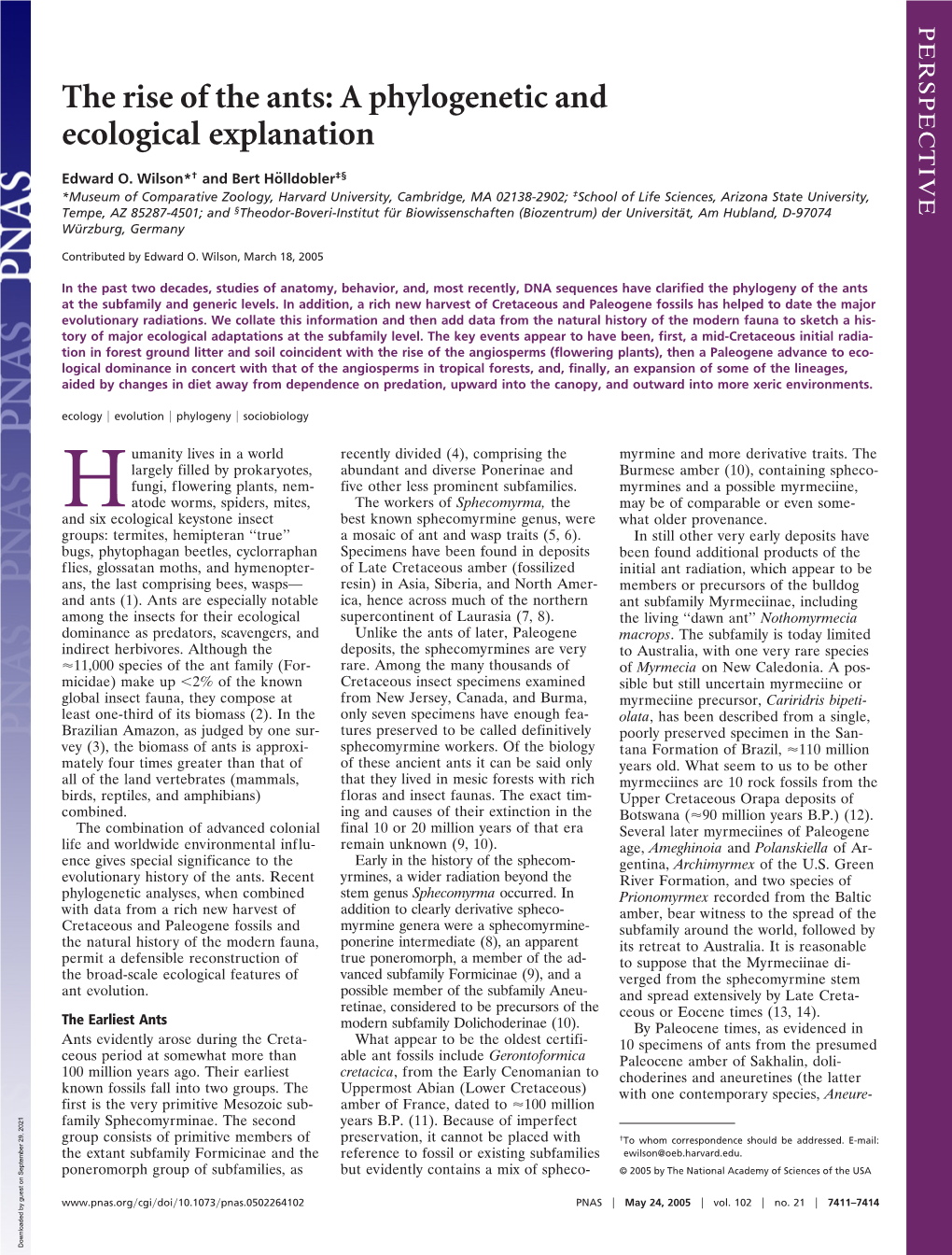 The Rise of the Ants: a Phylogenetic and Ecological Explanation