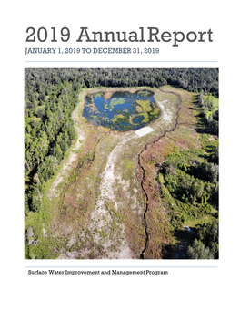 SWIM Annual Report 2019