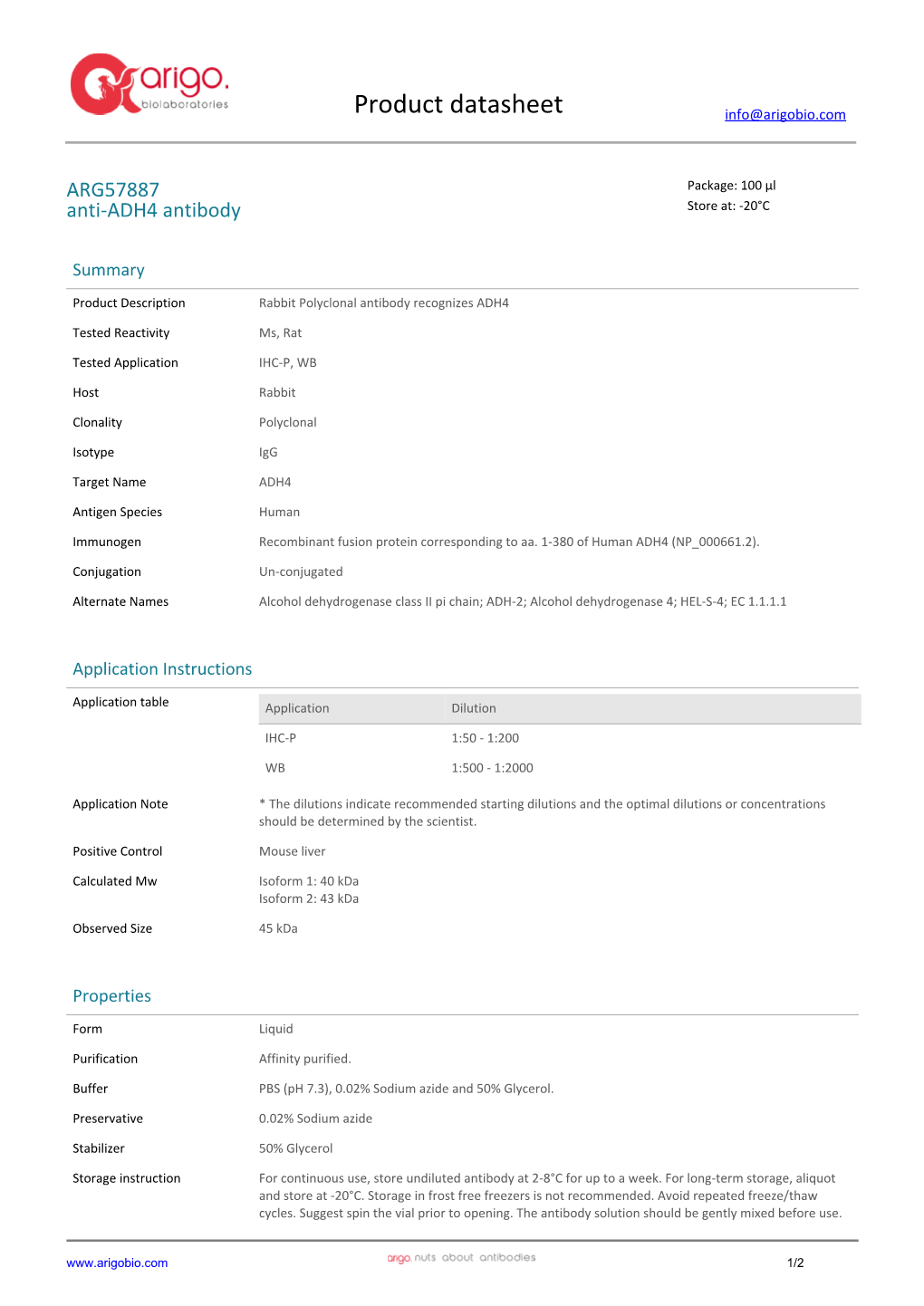 Anti-ADH4 Antibody (ARG57887)