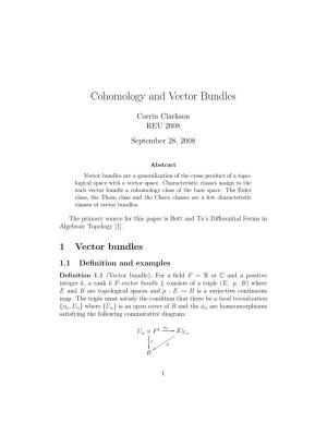 Cohomology and Vector Bundles