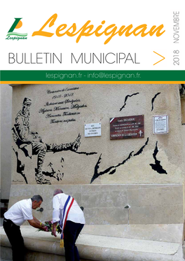 BULLETIN MUNICIPAL > 2018 Lespignan.Fr - Info@Lespignan.Fr