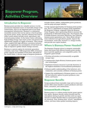 Biopower Program, Activities Overview