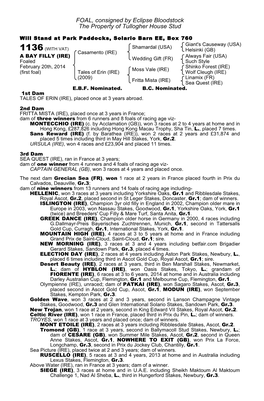 FOAL, Consigned by Eclipse Bloodstock the Property of Tullogher House Stud