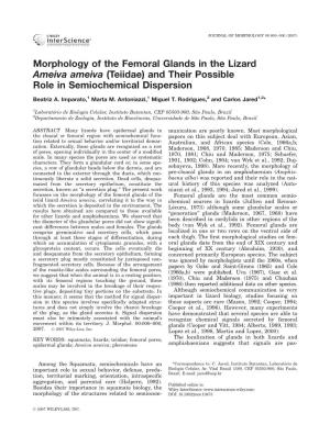 Morphology of the Femoral Glands in the Lizard Ameiva Ameiva (Teiidae) and Their Possible Role in Semiochemical Dispersion