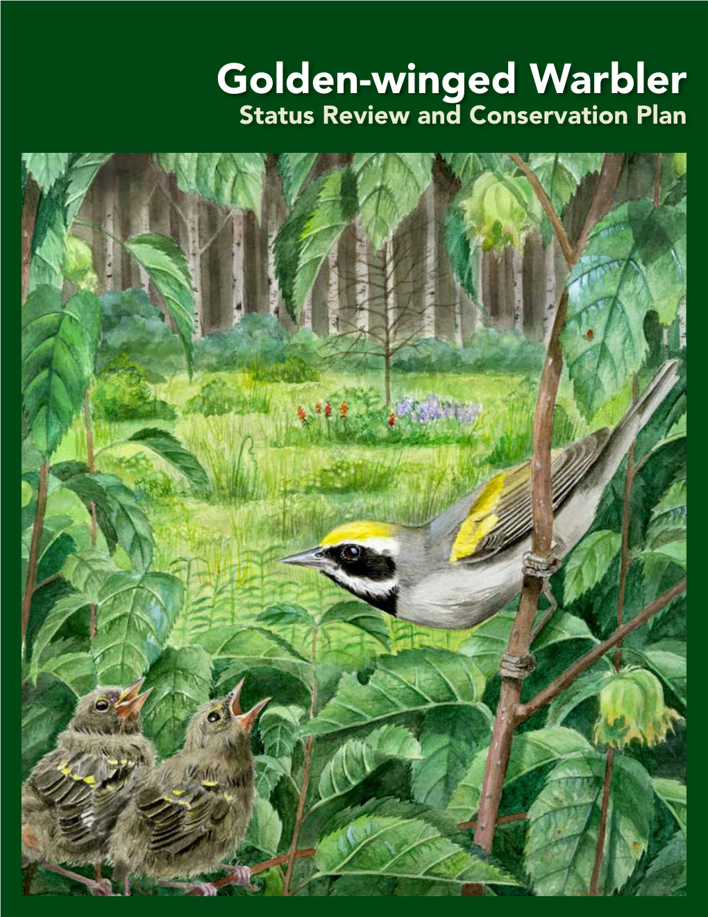 Conservation Plan Golden-Winged Warbler Status Review and Conservation Plan