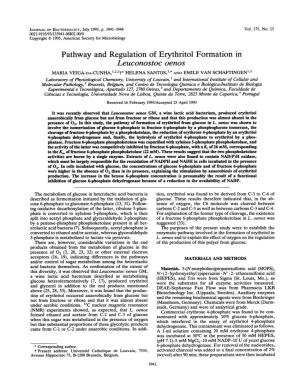 Pathway and Regulation of Erythritol Formation In