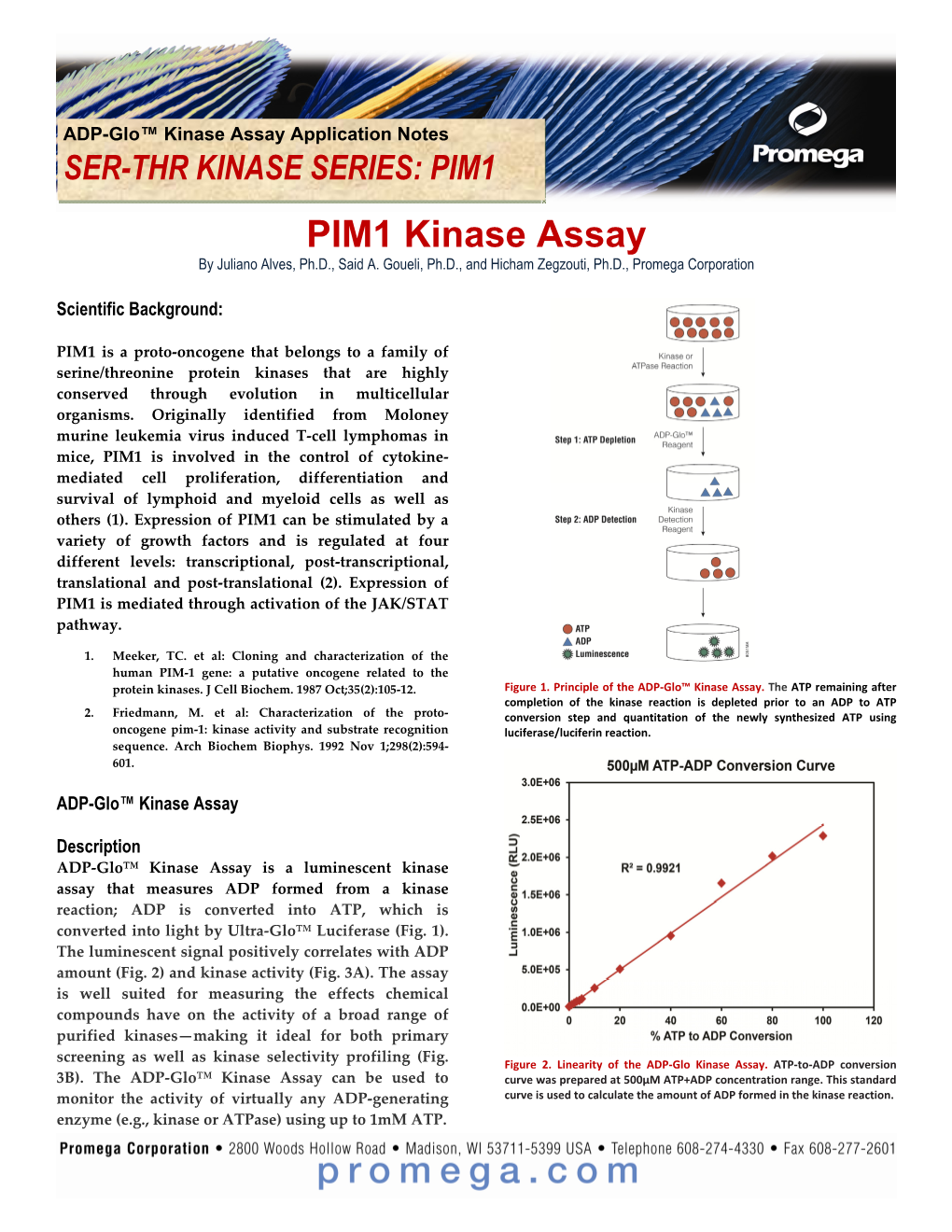 PIM1 PIM1 Kinase Assay