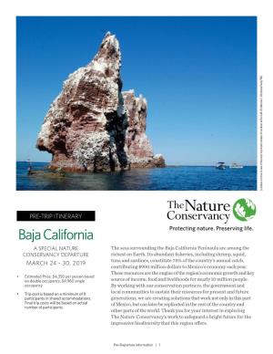 Baja California a SPECIAL NATURE the Seas Surrounding the Baja California Peninsula Are Among the CONSERVANCY DEPARTURE Richest on Earth