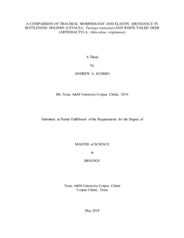 A COMPARISON of TRACHEAL MORPHOLOGY and ELASTIN ABUNDANCE in BOTTLENOSE DOLPHIN (CETACEA: Tursiops Truncatus) and WHITE-TAILED D