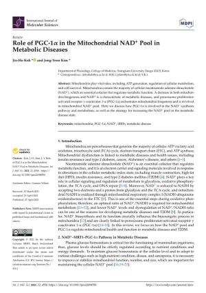 Role of PGC-1 in the Mitochondrial NAD+ Pool in Metabolic Diseases