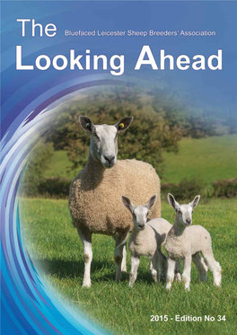 Breeding Sheep Without Compromise Bluefaced