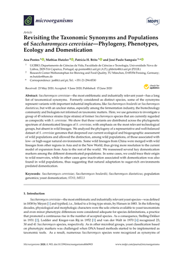 Revisiting the Taxonomic Synonyms and Populations of Saccharomyces Cerevisiae—Phylogeny, Phenotypes, Ecology and Domestication