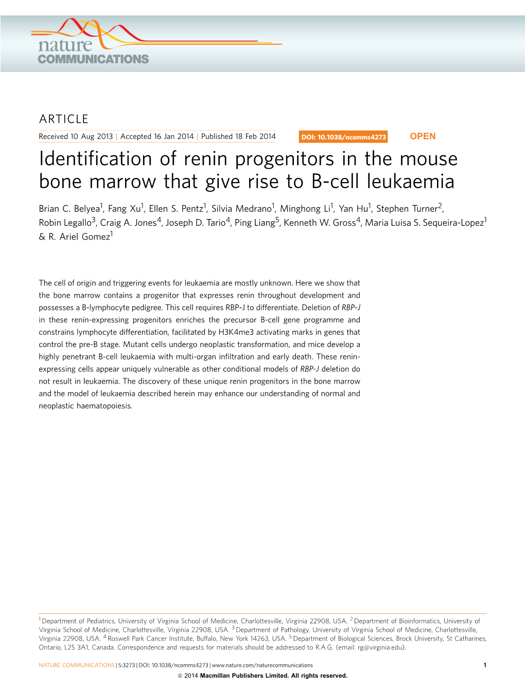 Identification of Renin Progenitors in the Mouse Bone Marrow That Give Rise to B-Cell Leukaemia