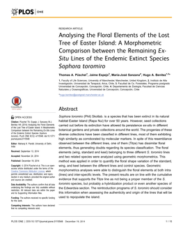 Analysing the Floral Elements of the Lost Tree Of