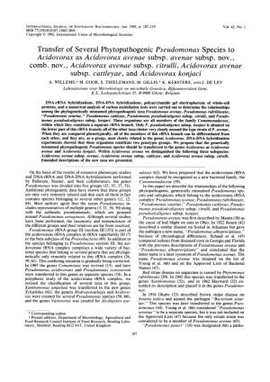 Transfer of Several Phytopathogenic Pseudomonas Species to Acidovorax As Acidovorax Avenae Subsp
