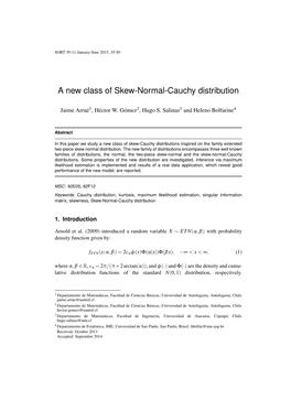 Idescat. SORT. a New Class of Skew-Normal-Cauchy Distribution