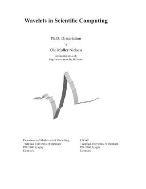 Wavelets in Scientific Computing