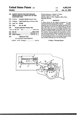 United States Patent [191 [1 1] 4,392,319 Ottolini [45] Jul