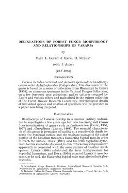 Delineations of Forest Fungi: Morphology and Relationships of Vararia