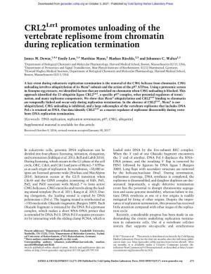 Promotes Unloading of the Vertebrate Replisome from Chromatin During Replication Termination