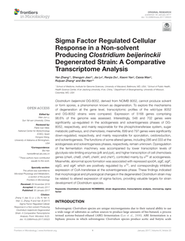 Sigma Factor Regulated Cellular Response in a Non-Solvent Producing Clostridium Beijerinckii Degenerated Strain: a Comparative Transcriptome Analysis