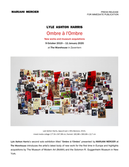 LYLE ASHTON HARRIS Ombre À L'ombre New Works and Museum Acquisitions 9 October 2019 – 11 January 2020 at the Warehouse in Zaventem