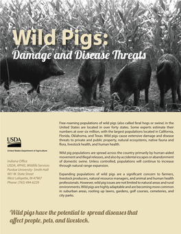 Wild Pigs: Damage and Disease Threats