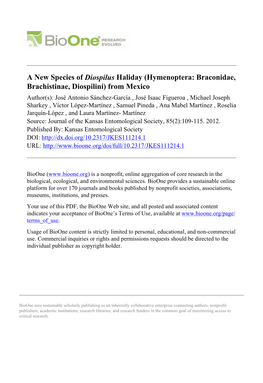 A New Species of Diospilus Haliday (Hymenoptera: Braconidae, Brachistinae, Diospilini)
