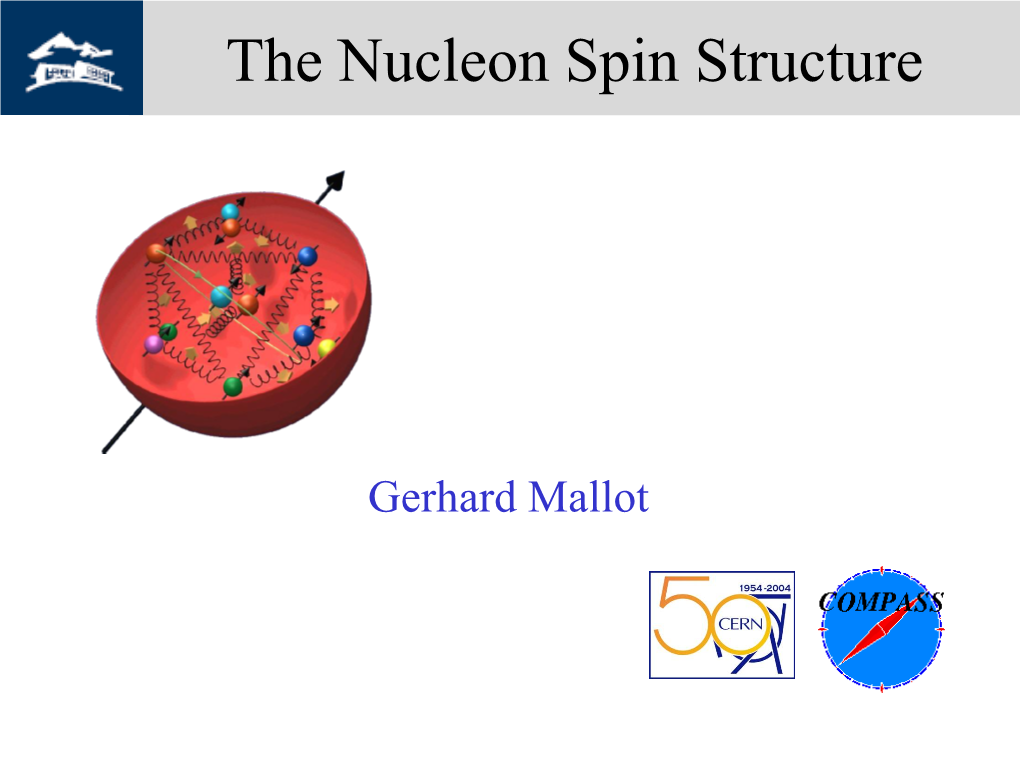 The Nucleon Spin Structure