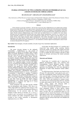 Floral Ontogeny of Two Jatropha Species (Euphorbiaceae S.S) and Its Systematic Implications