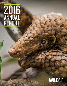 2016 Annual Report 4 at a Glance