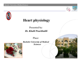 Heart Physiology