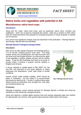 Pirsa Native Herbs.Pdf
