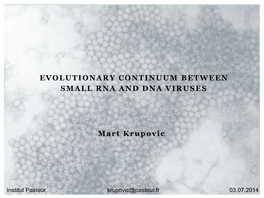 Evolutionary Continuum Between Small Rna and Dna Viruses