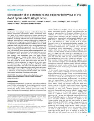 Echolocation Click Parameters and Biosonar Behaviour of the Dwarf Sperm Whale (Kogia Sima) Chloe E