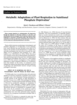 Metabolic Adaptations of Plant Respiration to Nutritional Phosphate Deprivation’