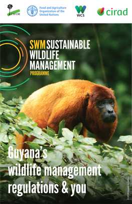 Guyana's Wildlife Management Regulations And