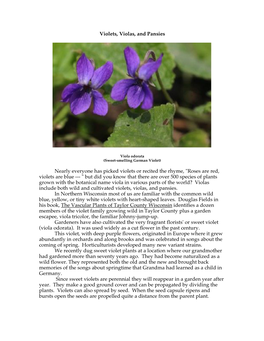 Violets, Violas, and Pansies Nearly Everyone Has Picked Violets Or