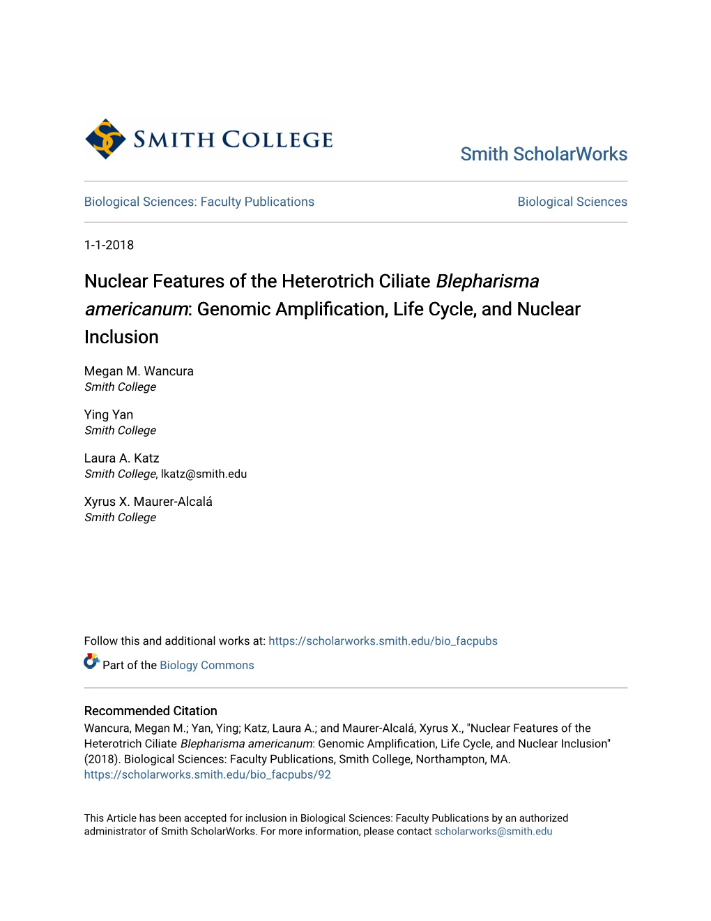 <I>Blepharisma Americanum</I>: Genomic Amplification, Life Cycle