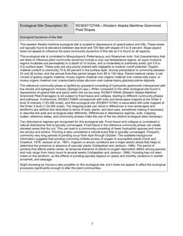 R236XY127AK—Western Alaska Maritime Graminoid Peat Slopes