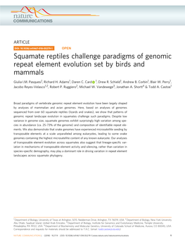 Squamate Reptiles Challenge Paradigms of Genomic Repeat Element Evolution Set by Birds and Mammals