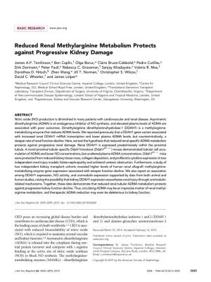 Reduced Renal Methylarginine Metabolism Protects Against Progressive Kidney Damage