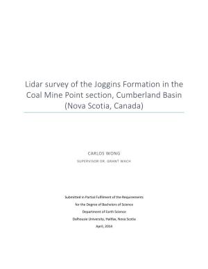 Lidar Survey of the Joggins Formation in the Coal Mine Point Section, Cumberland Basin (Nova Scotia, Canada)