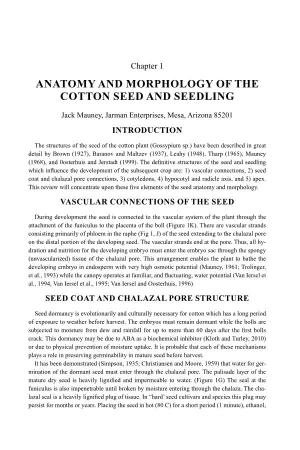 Anatomy and Morphology of the Cotton Seed and Seedling