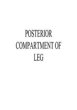 Posterior Compartment Of