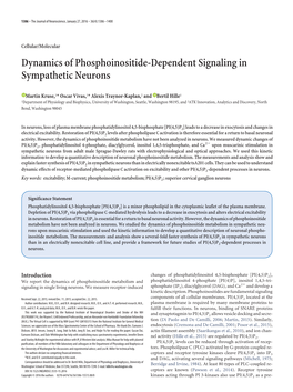 Dynamics of Phosphoinositide-Dependent Signaling in Sympathetic Neurons
