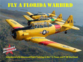 Fly a Florida Warbird